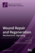 Wound Repair and Regeneration - Hardcover