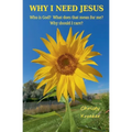 Why I Need Jesus: Who Is God? What Does that Mean for Me? Why Should I Care? - Paperback