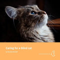 Caring for a blind cat - Paperback