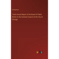 Tenth Annual Report of the Board of Public Works to the Common Council of the City of Chicago - Hardcover