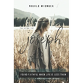 Study of Joseph: Found Faithful When Life Is Less Than - Paperback