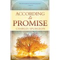 According to Promise - Paperback