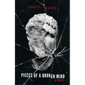 Pieces of a Broken Mind - Paperback