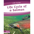 Life Cycle of a Salmon - Paperback