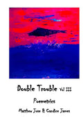 Double Trouble Vol III - Poemetrics: Poemetrics - Paperback