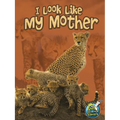 I Look Like My Mother - Paperback