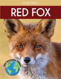 Red Fox: Fascinating Animal Facts for Kids - Paperback