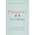 Disunity in Christ: Uncovering the Hidden Forces That Keep Us Apart - Paperback