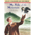 My Side of the Mountain - Paperback