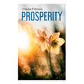 Prosperity: God Has Provided Prosperity for Every Home - Paperback
