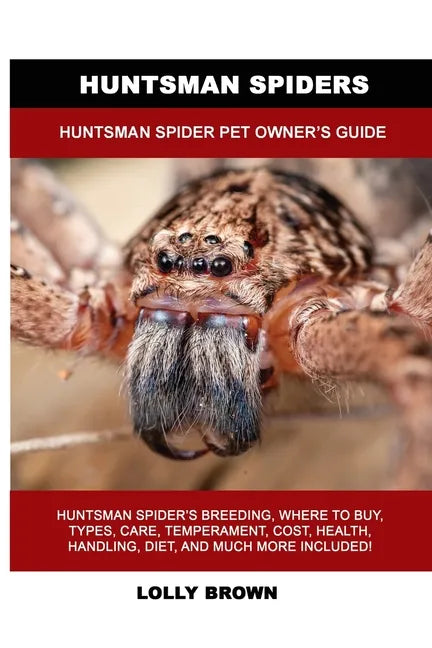 Huntsman Spiders: Huntsman Spider Pet Owner's Guide - Paperback