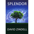 Splendor - Paperback