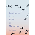 Pathways from Pain to Meaning: Short Thoughts on Pain in History and Personal Development - Paperback