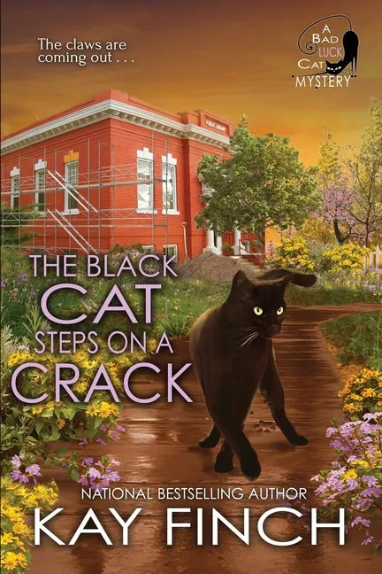 The Black Cat Steps on a Crack - Paperback