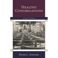 Healthy Congregations: A Systems Approach - Paperback