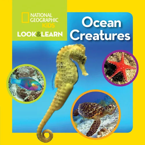 National Geographic Kids Look & Learn: Ocean Creatures - Board Book