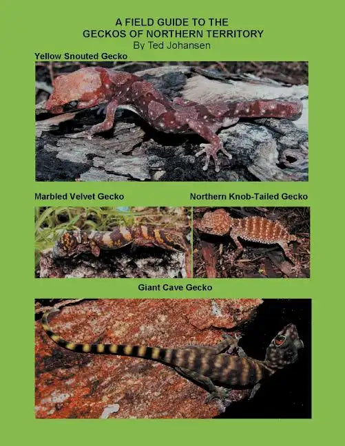 A Field Guide to the Geckos of Northern Territory - Paperback