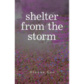 Shelter from the Storm - Paperback