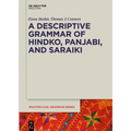 A Descriptive Grammar of Hindko, Panjabi, and Saraiki - Paperback