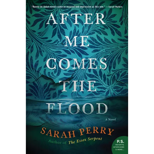 After Me Comes the Flood - Paperback