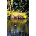 Alligators Ain't All - Paperback