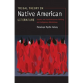Tribal Theory in Native American Literature: Dakota and Haudenosaunee Writing and Indigenous Worldviews - Paperback