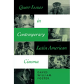 Queer Issues in Contemporary Latin American Cinema - Paperback
