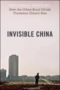 Invisible China: How the Urban-Rural Divide Threatens China's Rise - Paperback