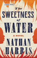 The Sweetness of Water - Hardcover