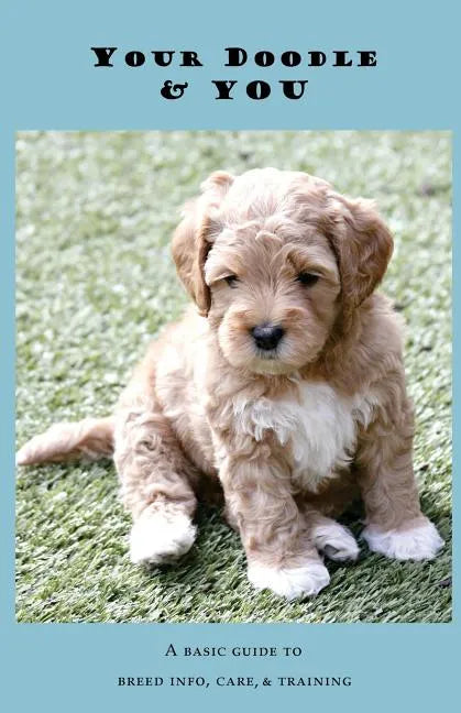Your Doodle & You: A Guide to Breed Info, Basic Care & Training - Paperback