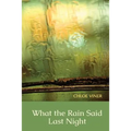 What the Rain Said Last Night - Paperback