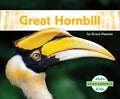 Great Hornbill - Library Binding