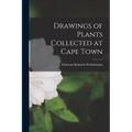 Drawings of Plants Collected at Cape Town - Paperback