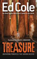 Treasure: Uncovering Principles That Govern Success - Paperback