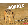 Jackals: Nature's Cleanup Crew - Paperback