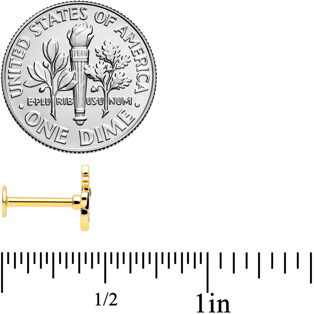 16G 5/16 Gold Tone Pumpkin Black Cat Halloween Labret Tragus