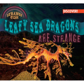 Leafy Sea Dragons Are Strange - Library Binding