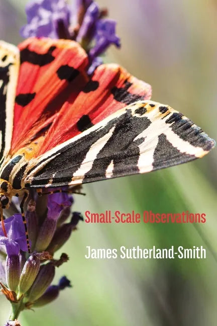 Small-Scale Observations - Paperback