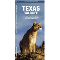 Texas Wildlife: An Introduction to Familiar Species - Paperback