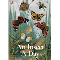 An Insect a Day - Hardcover