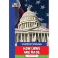 Understanding How Laws Are Made - Library Binding