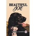 Beautiful Joe - Paperback