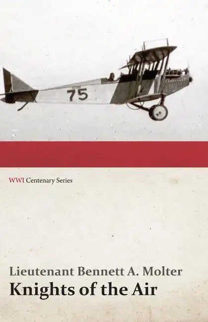 Knights of the Air (WWI Centenary Series) - Paperback