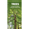 Trees: An Introduction to Familiar North American Species