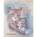Calvin's Turbulent Journey to the Light - Paperback