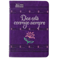 Dios Está Conmigo Siempre: 365 Días Devocionario - Imitation Leather