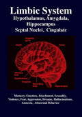 Limbic System: Amygdala, Hypothalamus, Septal Nuclei, Cingulate, Hippocampus: Emotion, Memory, Language, Development, Evolution, Love - Paperback