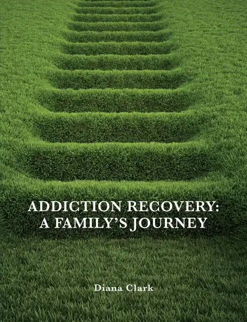 Addiction Recovery: A Family's Journey - Paperback