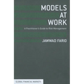 Models at Work: A Practitioner's Guide to Risk Management - Paperback