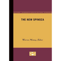 The New Spinoza: Volume 11 - Paperback